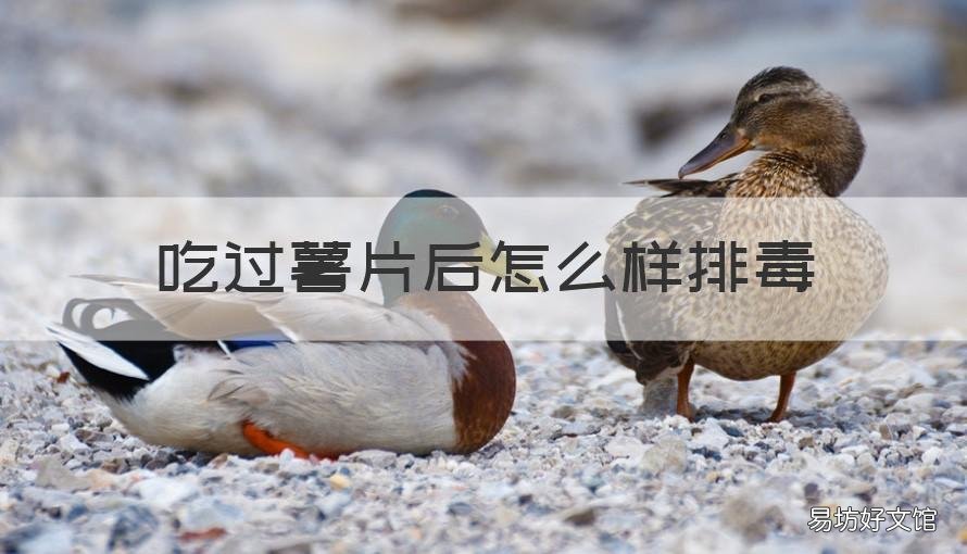 吃过薯片后怎么样排毒 薯片吃完了什么水果可以排毒