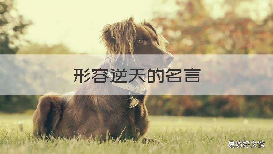 形容逆天的名言 形容逆天的名言名句