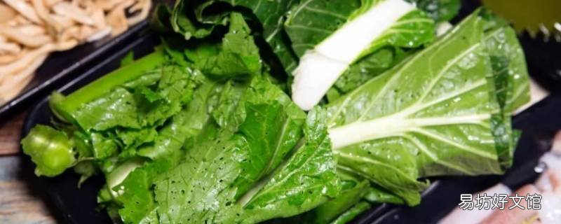 芥菜储存用土埋起来好吗 鲜芥菜疙瘩能埋土里储存吗