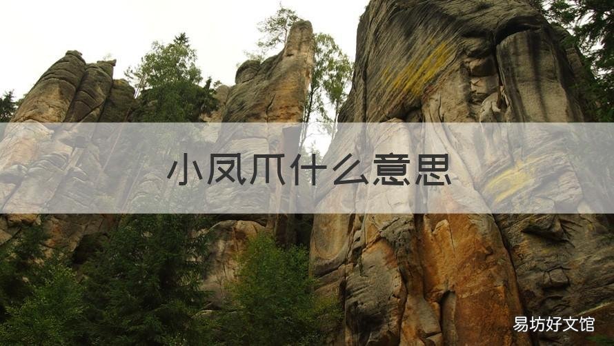 小凤爪什么意思 凤爪为什么叫凤爪