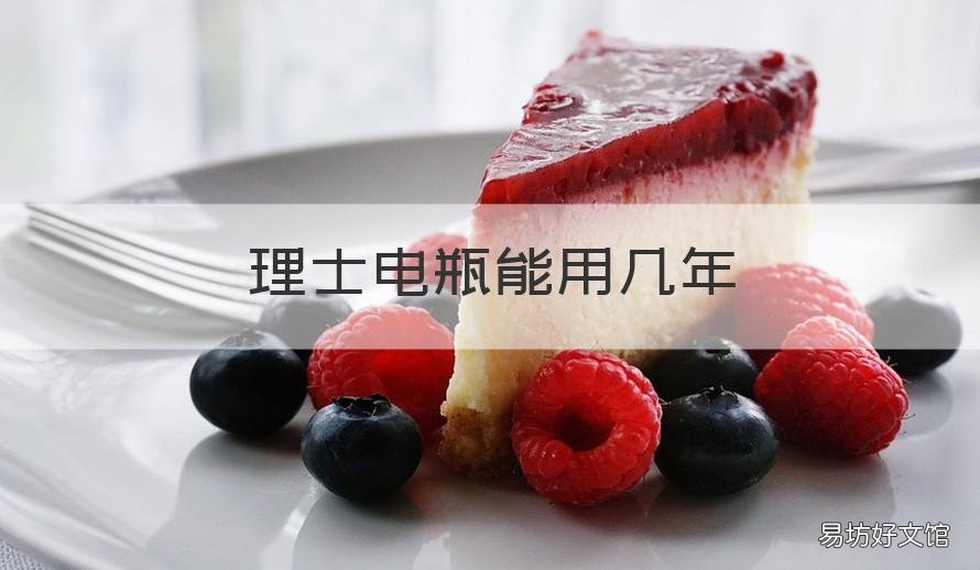 理士电瓶能用几年 理士电瓶质量咋样