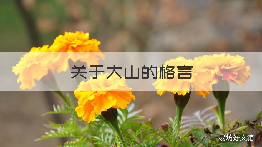 关于大山的格言 关于大山的唯美短句