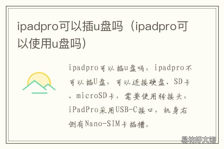 ipadpro可以插u盘吗 ipadpro不能插u盘