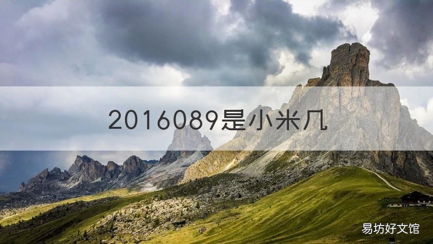 2016089是小米几 2014218是小米几