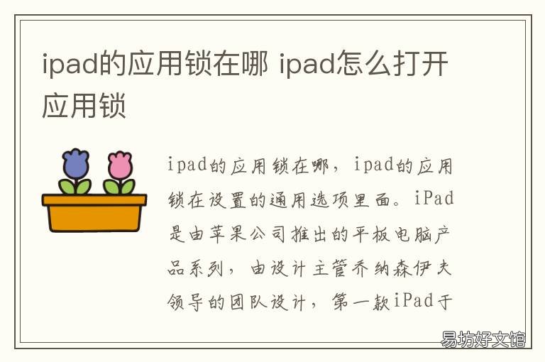 ipad的应用锁在哪 iPad如何上应用锁