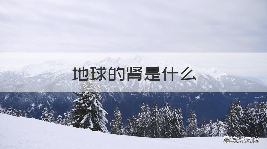 地球的肾是什么 什么是地球之肾