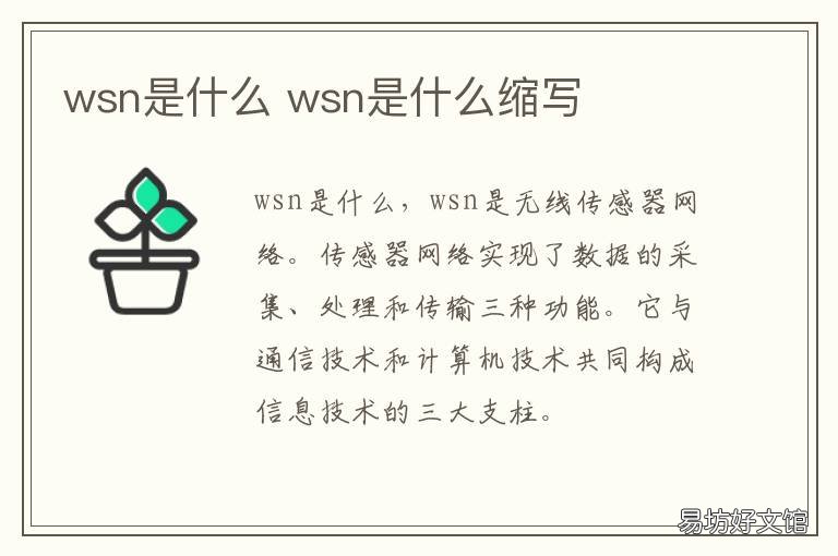wsn是什么 wsn是什么意思网络用语
