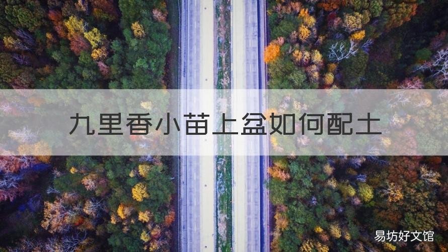 九里香小苗上盆如何配土 九里香的盆土怎么配