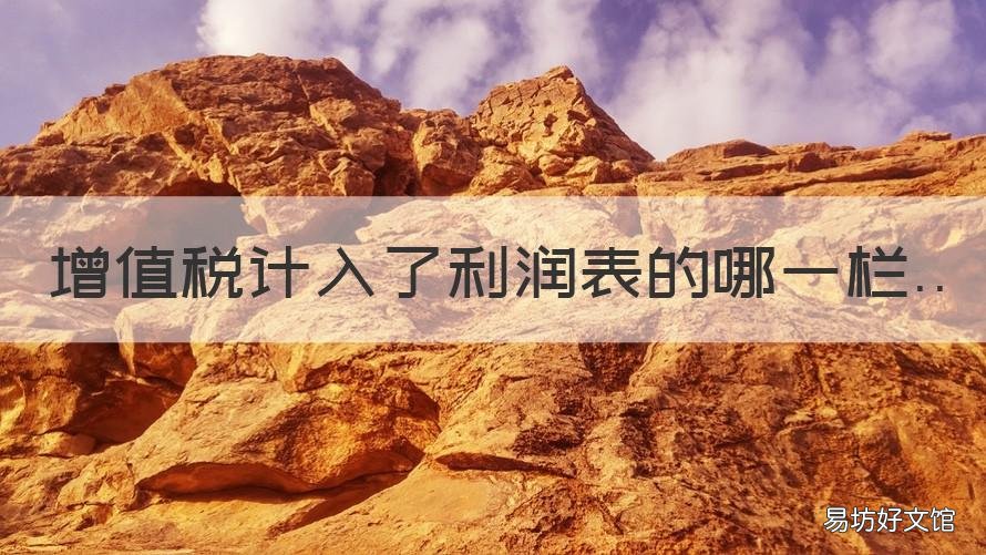 增值税计入了利润表的哪一栏 增值税在利润表里面体现在哪里呢