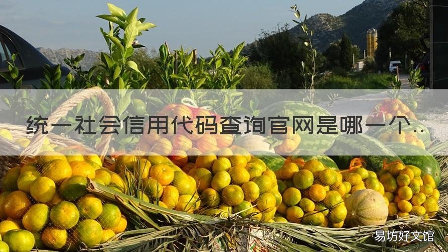 统一社会信用代码查询官网是哪一个