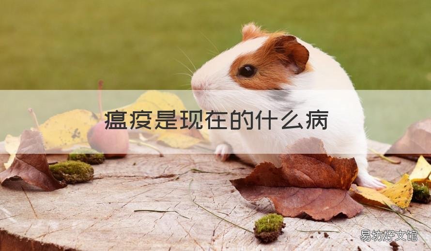 瘟疫是现在的什么病 瘟疫相当于现在的什么病