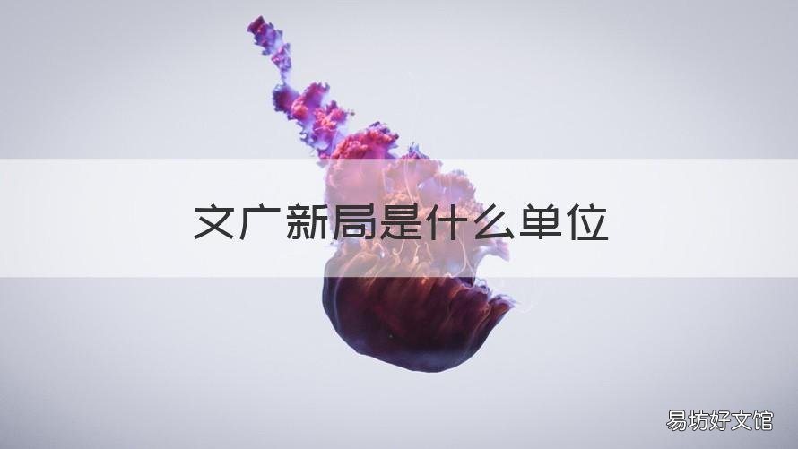 文广新局是什么单位 文广新局的上级单位