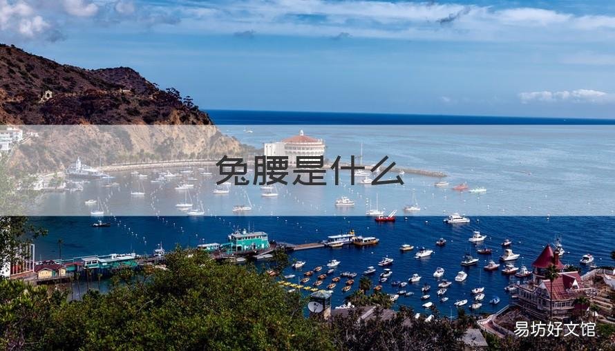兔腰是什么 兔腰是什么口感