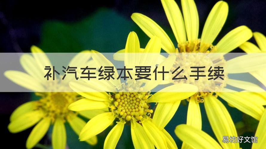 补汽车绿本要什么手续 补汽车绿本要什么手续和证件