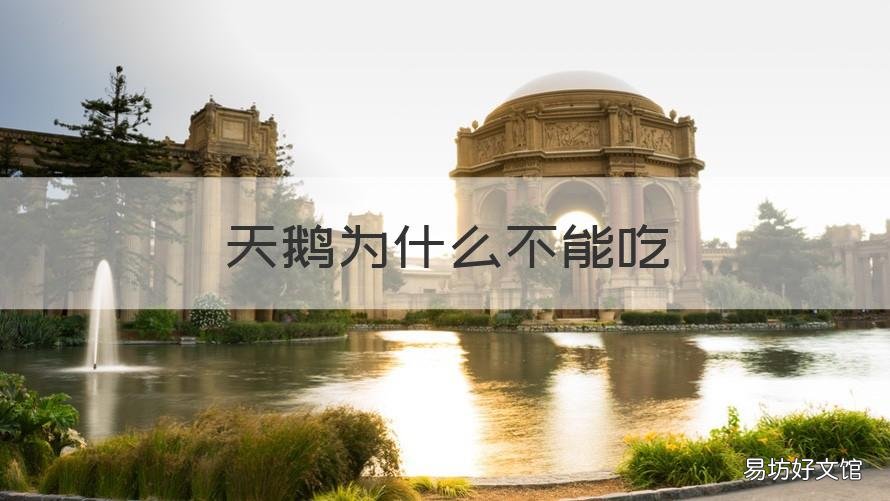 天鹅为什么不能吃 天鹅不吃鱼吗?