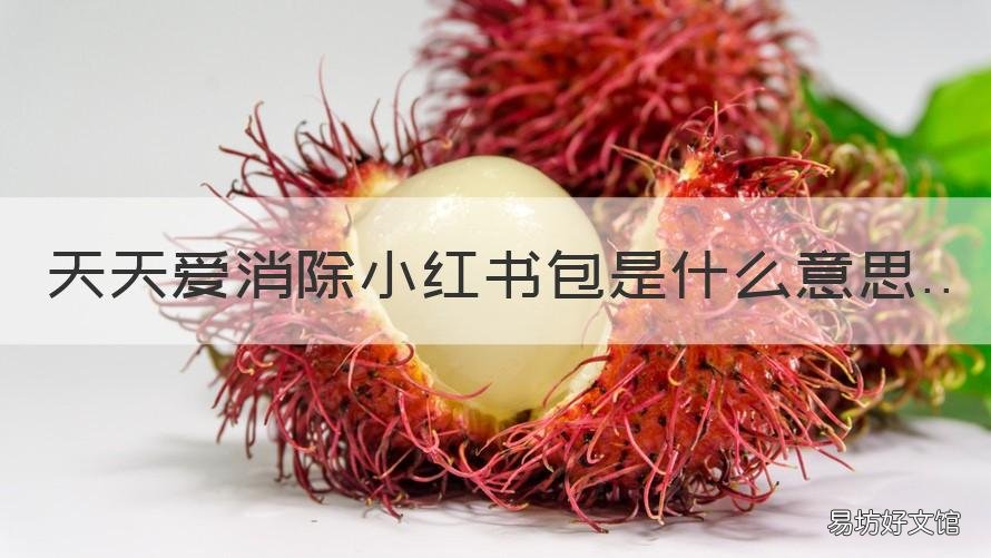 天天爱消除小红书包是什么意思