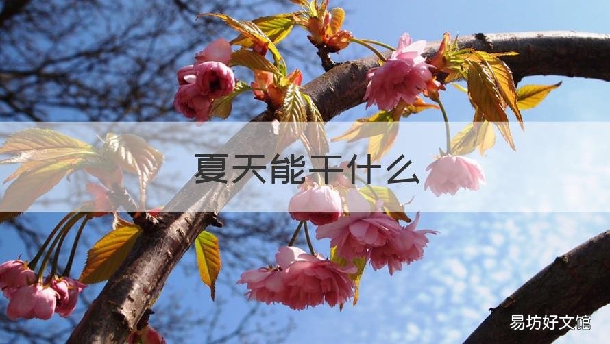 夏天能干什么 夏天能干什么事情