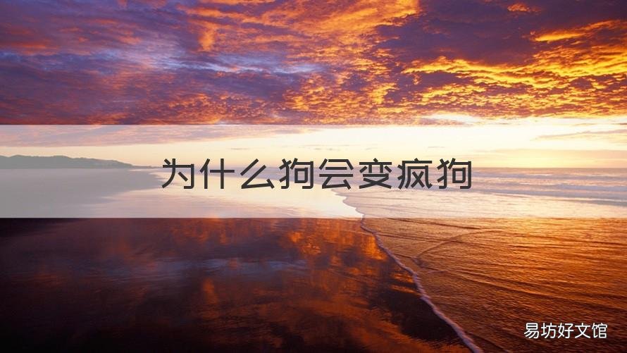 为什么狗会变疯狗 什么原因使正常狗变疯狗