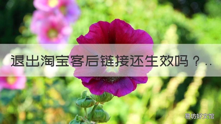 退出淘宝客后链接还生效吗 退出淘宝客有影响吗