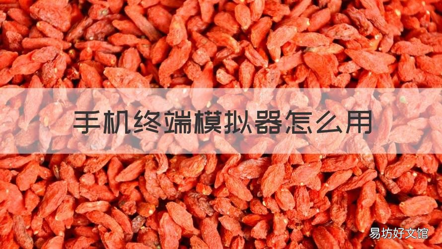 手机终端模拟器怎么用 安卓 终端模拟器