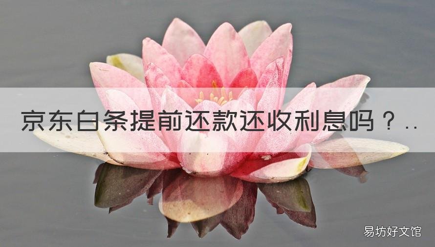 京东白条提前还款还收利息吗 京东白条提前还款有利息么