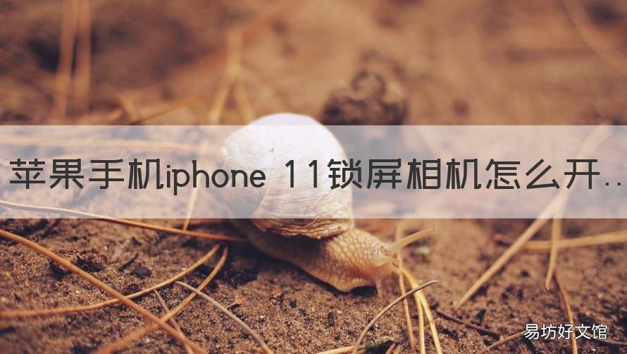 苹果手机iphone 11锁屏相机怎么开 iphone11锁屏相机怎么用
