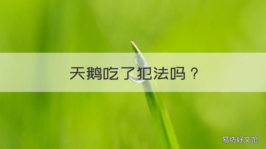 天鹅吃了犯法吗 吃天鹅判几年