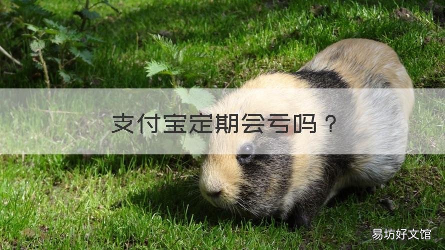 支付宝定期会亏吗 支付宝定期安全么