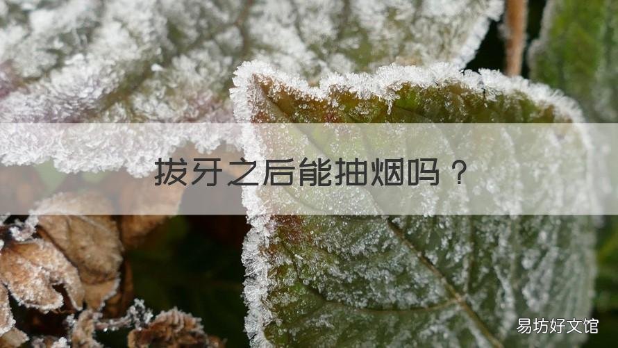 拔牙之后能抽烟吗 拔牙以后可以抽烟吗?