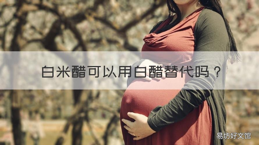白米醋可以用白醋替代吗 白米醋可以代替陈醋吗