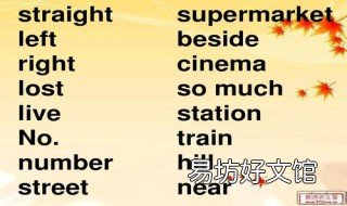 三至四年級的英語單詞 三至四年級英語單詞身體部位一共18個有哪些