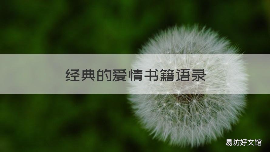 经典的爱情书籍语录 关于爱情的书籍经典语句