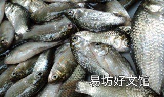 串钩的钩距是多少串钩怎么绑 串钩的距离