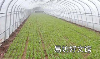 物联网与农业灌溉结合的原理 物联网技术在农业中的应用