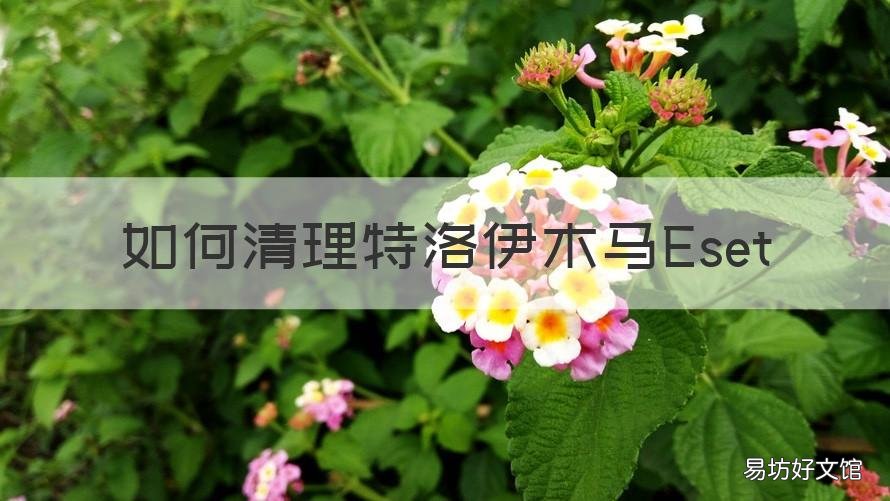 如何清理特洛伊木马Eset 如何清理特洛伊木马型病毒