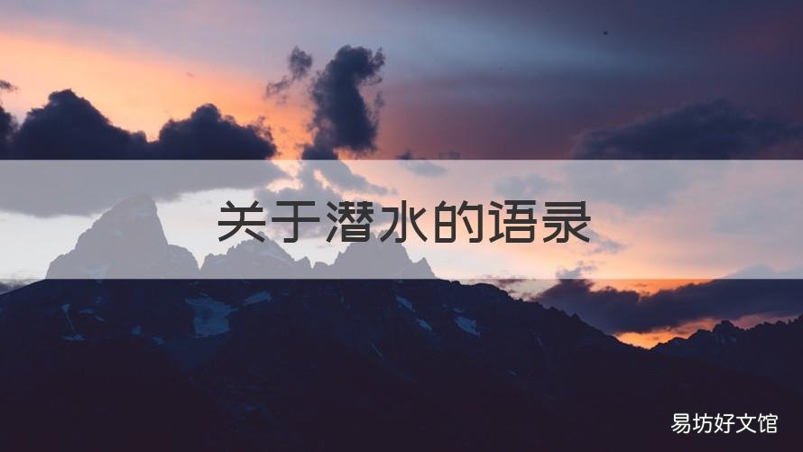 关于潜水的语录 关于潜水的语录有哪些