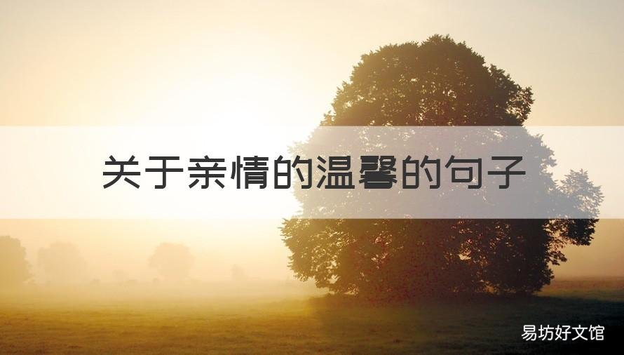 关于亲情的温馨的句子 关于亲情的温馨的句子简短