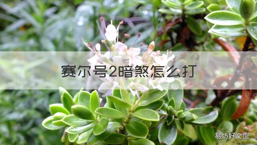 赛尔号2暗煞怎么打