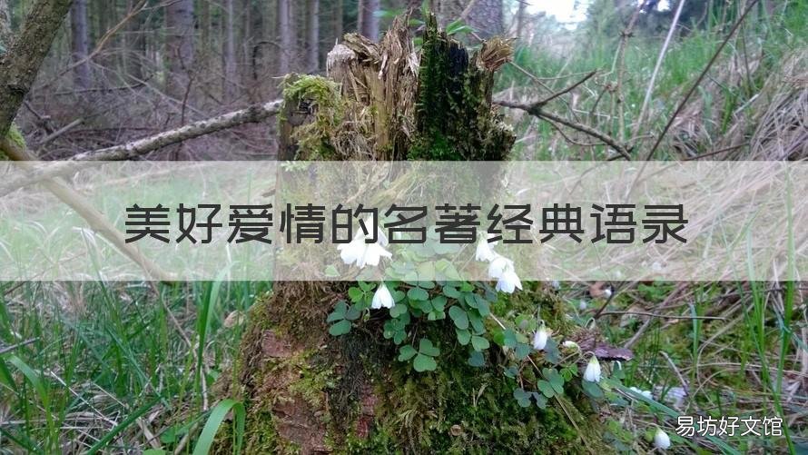 美好爱情的名著经典语录 关于美好爱情的经典语录