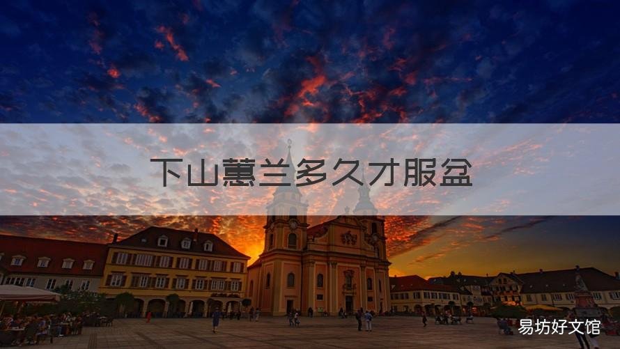 下山蕙兰多久才服盆 下山蕙兰怎么养