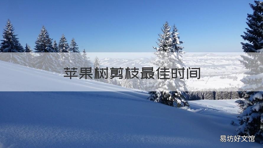苹果树剪枝最佳时间 苹果树剪枝最佳时间是几点
