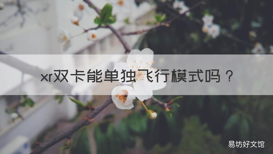xr双卡能单独飞行模式吗 xr可双卡吗
