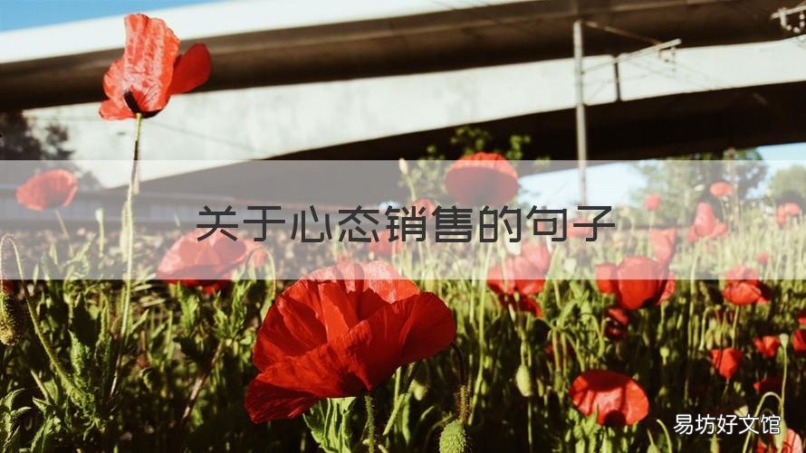 关于心态销售的句子 销售调整心态的句子