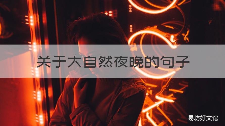 关于大自然夜晚的句子 夜晚的大自然作文500字