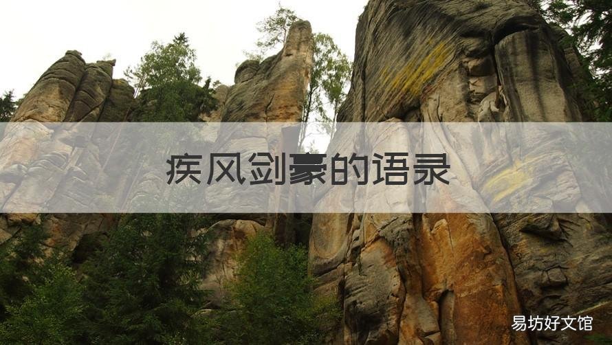 疾风剑豪的语录 疾风剑豪的口头禅