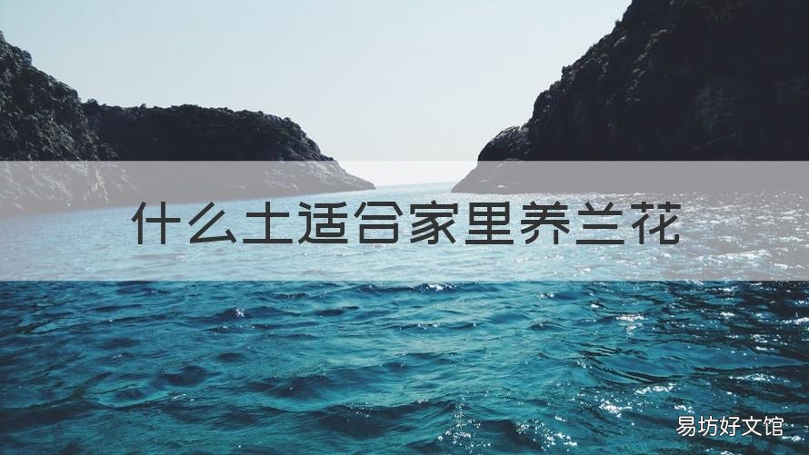 什么土适合家里养兰花 什么土适合家里养兰花呢