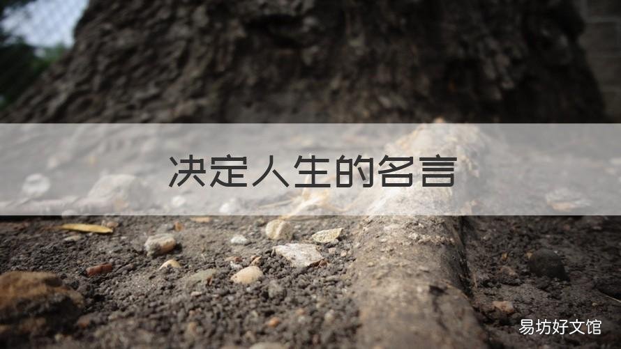决定人生的名言 选择决定人生的名言
