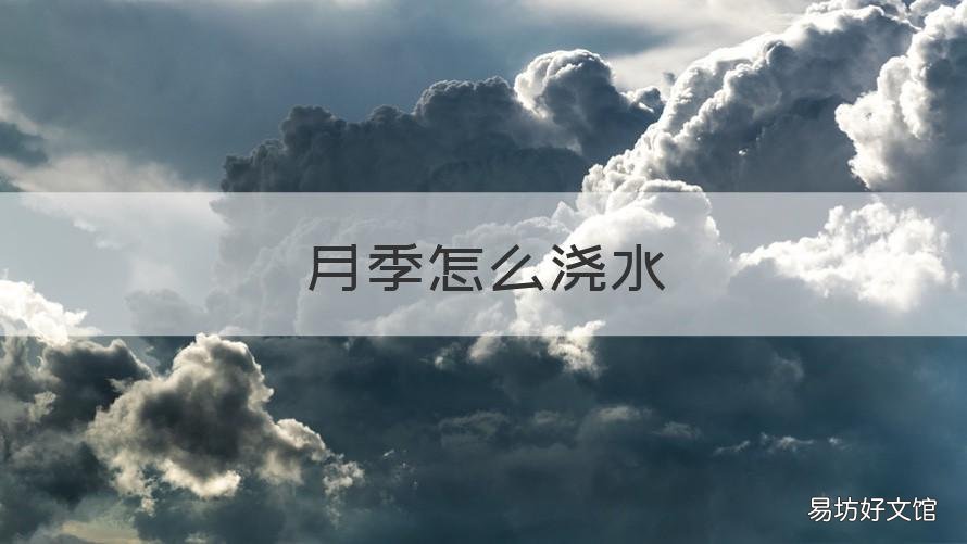 月季怎么浇水 扦插的月季怎么浇水