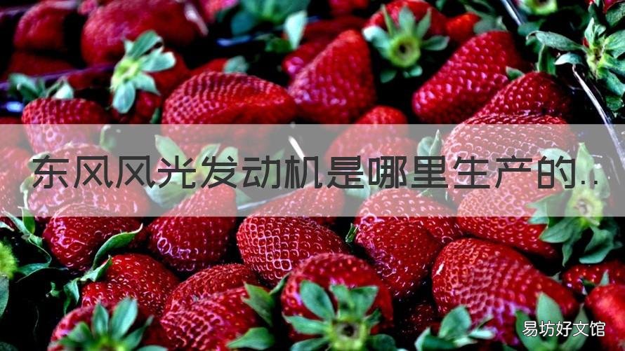 东风风光发动机是哪里生产的 东风风光汽车发动机是哪里产的