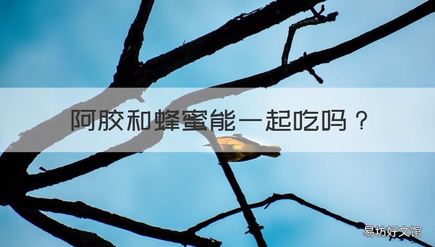 阿胶和蜂蜜能一起吃吗 蜂蜜可以和阿胶一起吃吗?